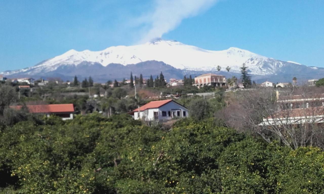 Villa Dei Limoni Etna-Mare アチレアーレ エクステリア 写真